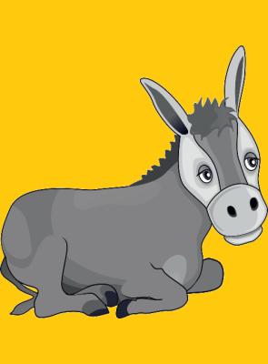 L'aso deus uelhs tan do&ccedil;